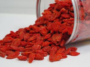 枸杞能提高性功能嗎？枸杞怎么吃壯陽(yáng)？