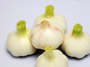 怎么吃大蒜才能有效預(yù)防癌癥？