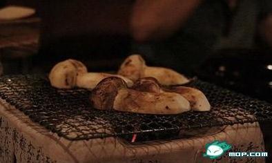 超級富豪才吃得起的食物:松茸蘑菇-每磅$1000