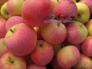 沙果怎么吃？吃沙果的食用禁忌