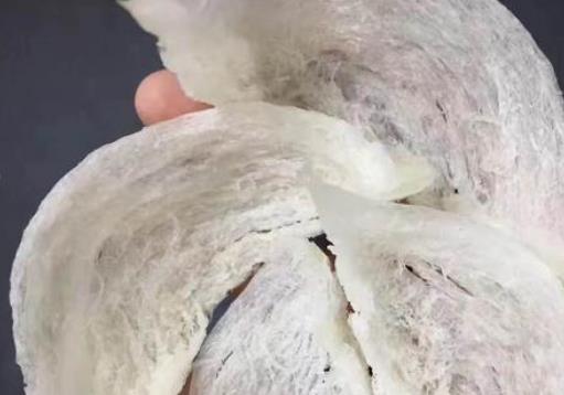 毛燕窩是什么?毛燕窩可以長期服用嗎?