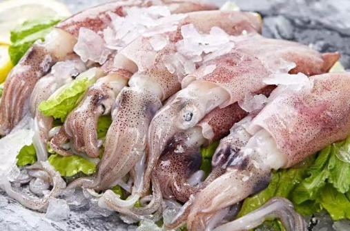 發(fā)黑的魷魚是不是不新鮮?活魷魚怎么保鮮?