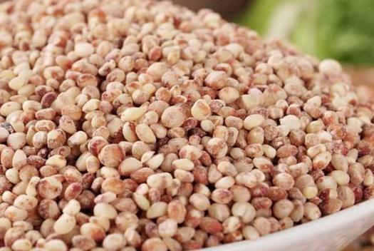 高粱米和大米哪個(gè)熱量高?高粱米要泡多久才能煮飯?