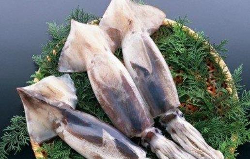 糖尿病患者可以吃魷魚嗎?吃魷魚會過敏嗎?
