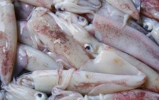 糖尿病患者可以吃魷魚嗎?吃魷魚會過敏嗎?