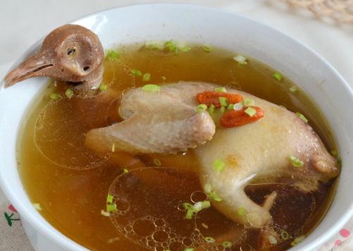 鴿子湯小孩多久喝一次 鴿子湯小孩吃怎么燉最營養(yǎng)
