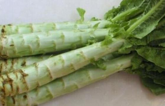 眼睛不好的人不宜吃萵筍嗎?萵筍和哪些食物不宜一起吃?