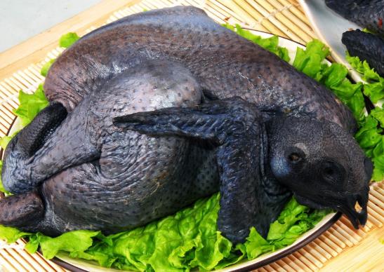 烏雞比一般的雞營養(yǎng)價值高嗎?烏雞好吃還是普通雞肉好吃?