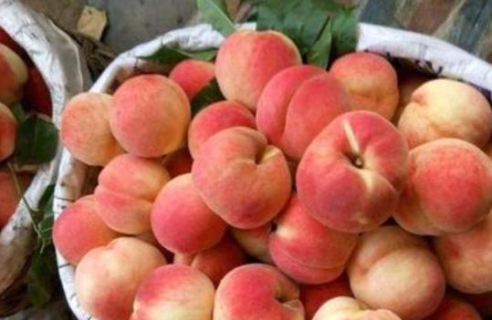 吃桃子可以預防高血壓嗎?桃子和什么食物相克?