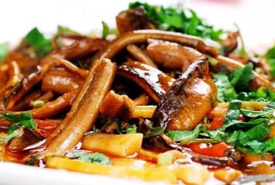 黃鱔死了還能吃嗎?吃了沒熟透的黃鱔會(huì)怎么樣?