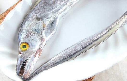 孕婦可以吃帶魚嗎?帶魚眼睛是綠色的可以吃嗎?