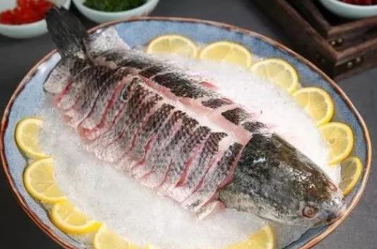黑魚(yú)籽可以吃嗎?吃黑魚(yú)對(duì)傷口愈合有好處嗎?