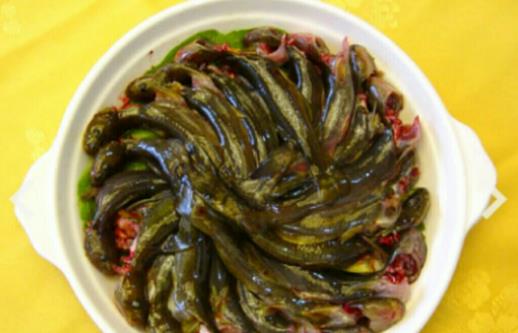 孕婦可以吃七星魚(yú)嗎?吃七星魚(yú)有哪些營(yíng)養(yǎng)價(jià)值?