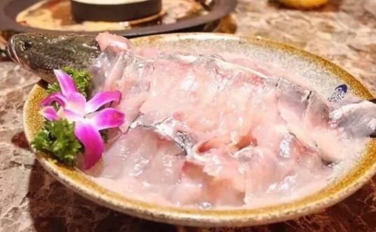 咳嗽了可以吃黑魚嗎?黑魚有哪些營養(yǎng)成分?