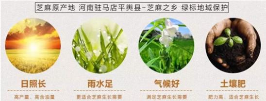 古法制作工藝的黑芝麻丸到底有多神奇?央視詳細揭秘