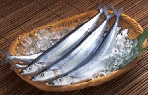 經(jīng)常吃秋刀魚好嗎?吃秋刀魚需要注意什么?