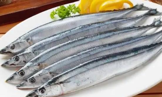 痛風可以吃秋刀魚嗎?秋刀魚不宜與什么一起吃?