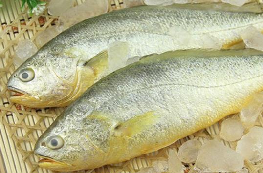孕婦可以吃黃花魚嗎?孕婦吃黃花魚有哪些好處?