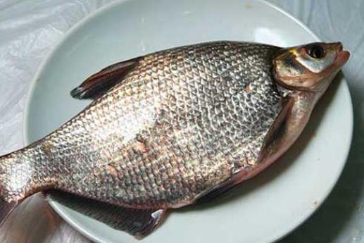 孕婦可以吃武昌魚嗎?武昌魚有哪些作用?