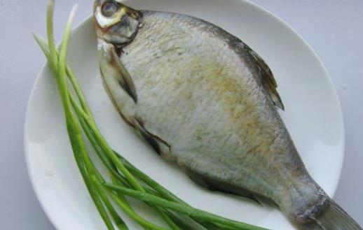 孕婦可以吃武昌魚嗎?武昌魚有哪些作用?