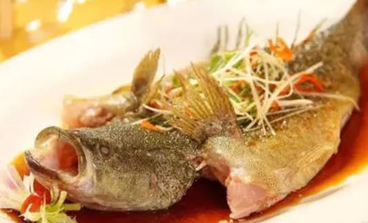 孕婦可以吃鱸魚嗎?死了的鱸魚可以過夜嗎?