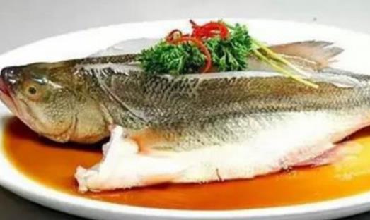 痛風(fēng)患者可以吃鱸魚嗎?鱸魚不宜和什么一起吃?