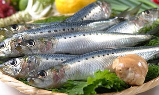 孕婦可以吃沙丁魚嗎?吃沙丁魚有哪些好處?