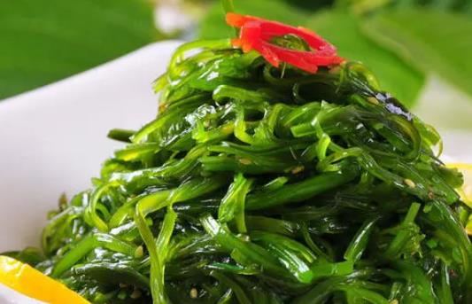 裙帶菜可以每天都吃嗎?裙帶菜吃多了會(huì)怎么樣?