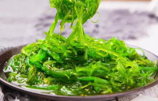 小孩可以吃裙帶菜嗎?涼拌裙帶菜需要焯水嗎?