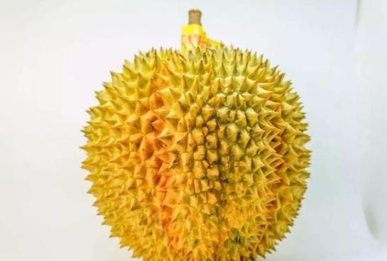 正宗貓山王榴蓮值得買嗎?貓山王為什么必須冷凍進(jìn)口