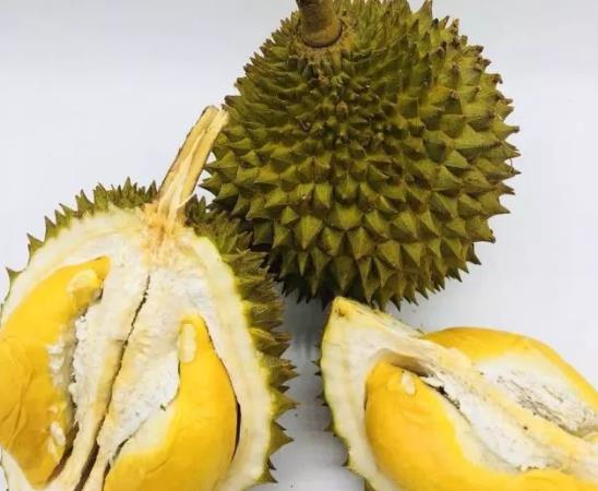 怎么判斷貓山王榴蓮熟沒(méi)熟?貓山王榴蓮多少錢(qián)一斤