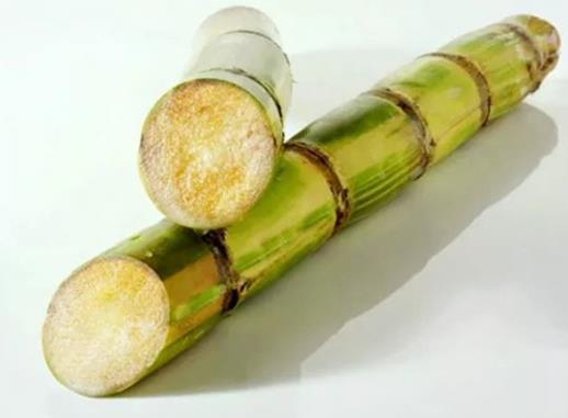 什么樣的甘蔗不能吃?女人吃甘蔗的好處