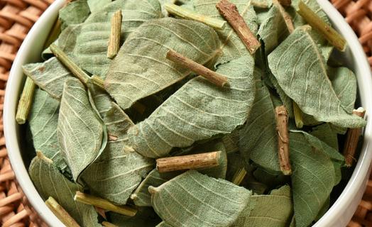 金錢草吃多久才能排腎結(jié)石 長期用金錢草泡水喝有什么副作用