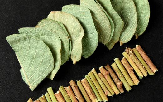 金錢草吃多久才能排腎結(jié)石 長期用金錢草泡水喝有什么副作用