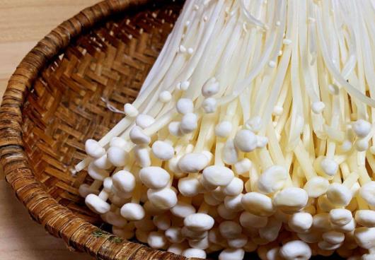 吃金針菇不消化有營養(yǎng)嗎?為什么吃金針菇會不消化?