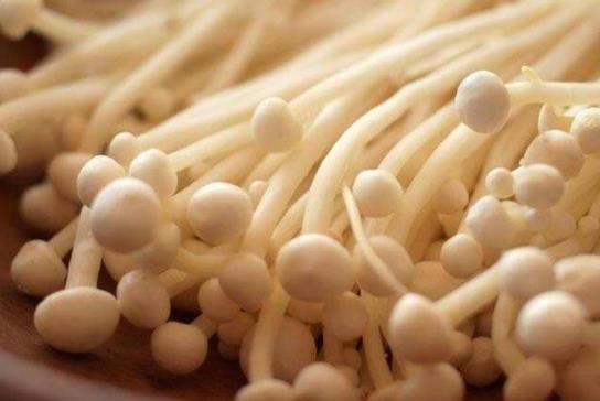 金針菇是發(fā)物嗎?金針菇不宜和什么一起吃?