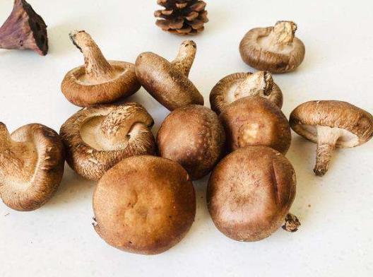 怎樣泡發(fā)香菇可以保持原味?香菇是炒的香還是燉的香