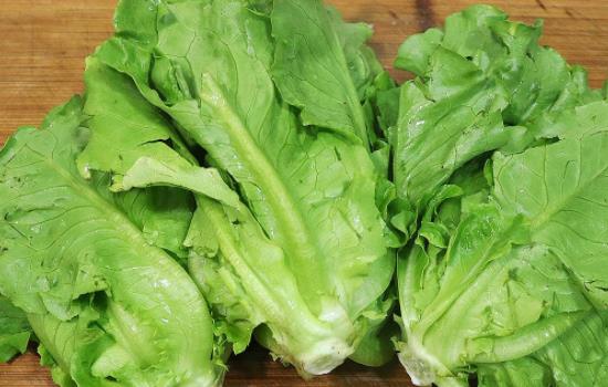 寶寶可以吃生菜嗎?多大的寶寶可以吃生菜?