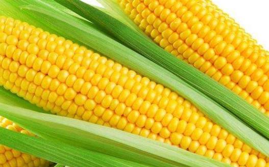 夏季護(hù)膚是至關(guān)重要的 夏季護(hù)膚雷區(qū)別踩