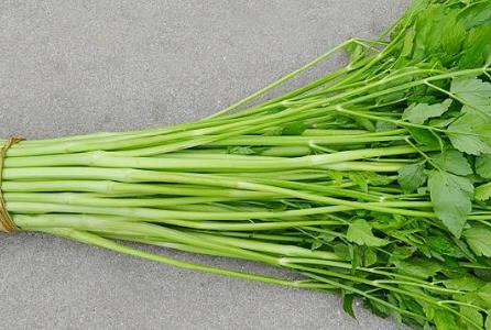 夏季護(hù)膚是至關(guān)重要的 夏季護(hù)膚雷區(qū)別踩