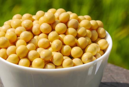 養(yǎng)膚護(hù)發(fā)小知識(shí) 橄欖油對(duì)養(yǎng)膚有好處