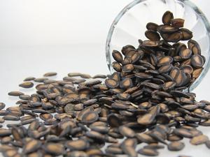 吃瓜子會(huì)胖嗎？吃瓜子對(duì)減肥的影響