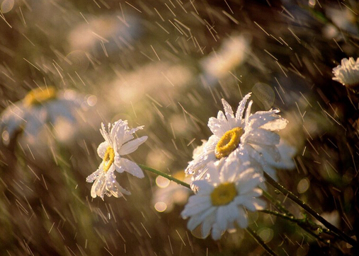 梅雨季節(jié)是什么時(shí)候?梅雨季節(jié)吃什么