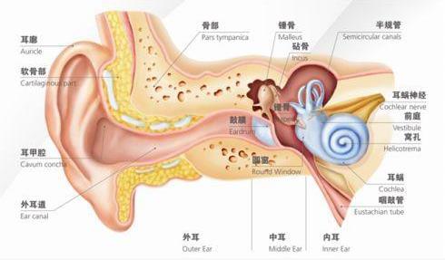 刺啦!聽到了粉筆劃過黑板的聲音,為什么會(huì)讓人抓狂?恐聲癥?