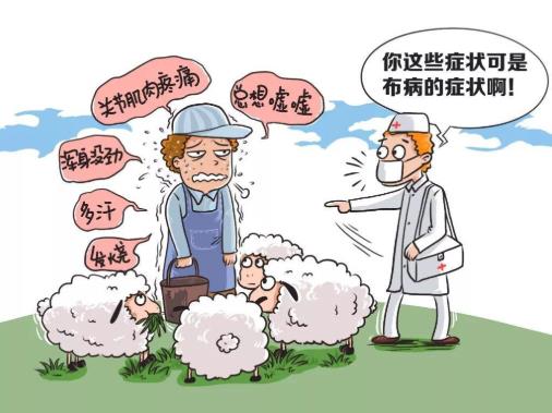 布氏桿菌病的癥狀是什么?布氏桿菌病傳染人么嗎