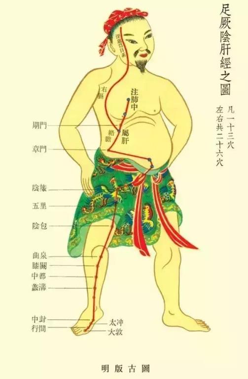 肝經(jīng)的準確位置圖 肝經(jīng)不通的癥狀