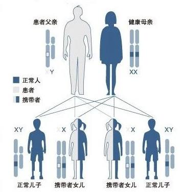 武漢東大肛腸醫(yī)院:專業(yè)致力于腸胃健康