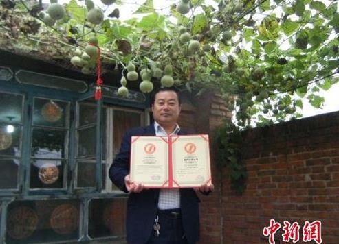 河北唐山一株葫蘆秧生421個葫蘆娃創(chuàng)世界紀(jì)錄
