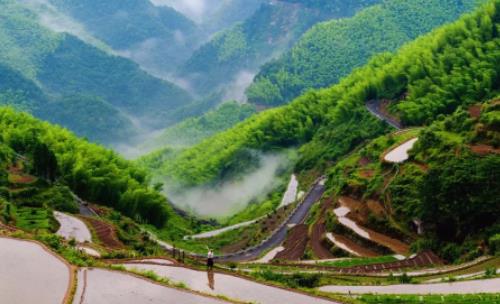 中國最大的丘陵 東南丘陵包含十多個山嶺 紅壤豐富地層復雜