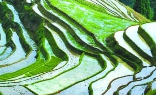 中國最大的丘陵 東南丘陵包含十多個山嶺 紅壤豐富地層復雜